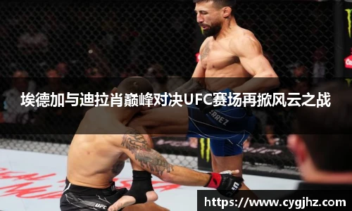 埃德加与迪拉肖巅峰对决UFC赛场再掀风云之战